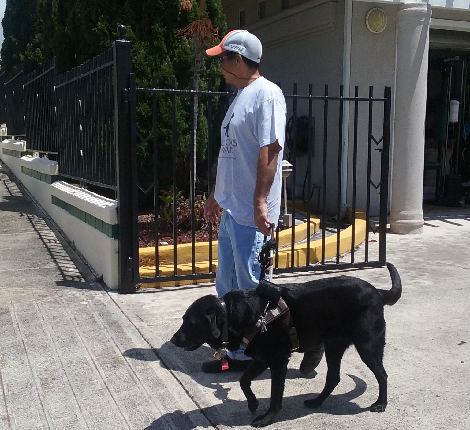 a man standing next to a black dog on a sidewalk.